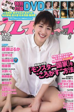 执笔电视剧免费播放在线观看